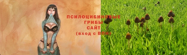 каннабис Алексин