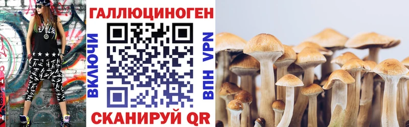 цена   Инза  Галлюциногенные грибы MAGIC MUSHROOMS 